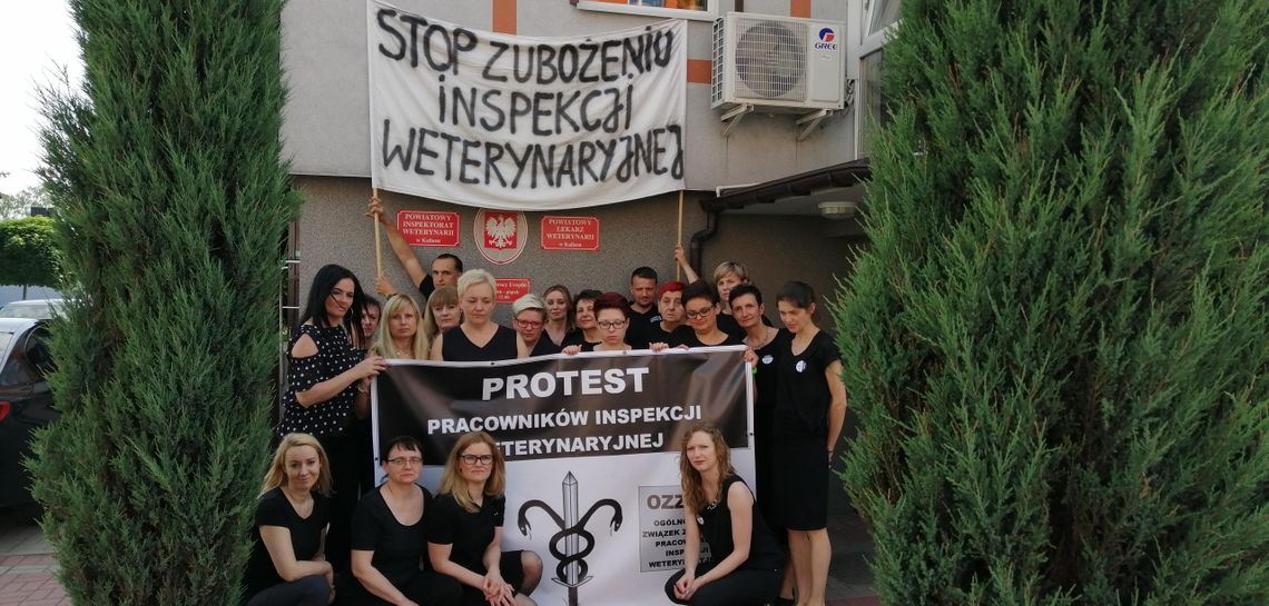 Żądają podwyżek i grożą blokadami dróg. Protest pracowników Inspekcji Weterynaryjnej