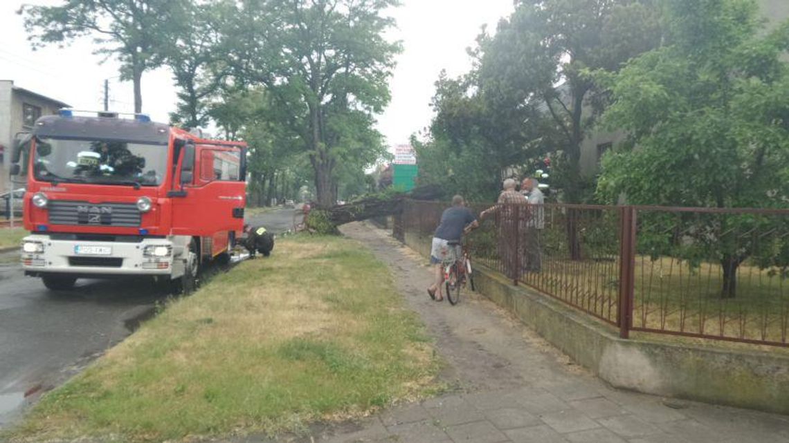 Zagrzmiało, padało i wiało. Niebezpiecznie w Ostrowie