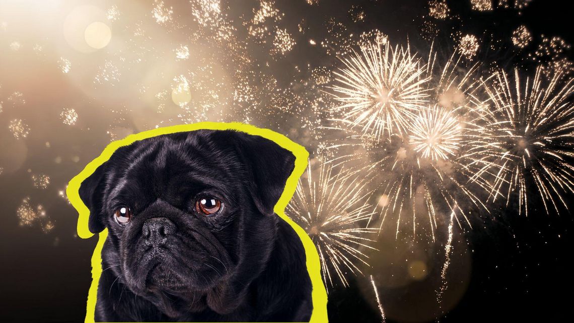 Zainteresowanie nie słabnie. Kaliszanie nie rezygnują z fajerwerków Zainteresowanie nie słabnie. Kaliszanie nie rezygnują z fajerwerków