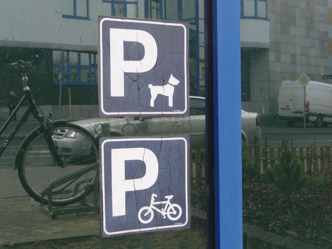 Zaparkuj swojego… psa!