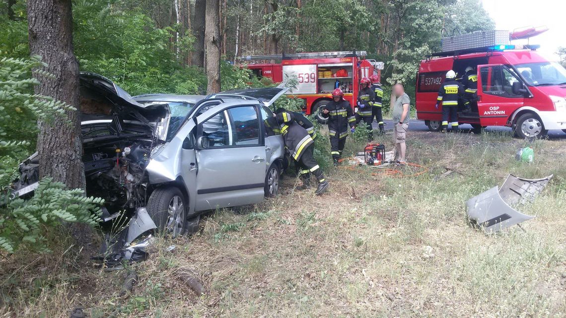 Zderzenie dwóch samochodów na krajowej „25”. Jedno z aut roztrzaskało się na drzewie ZDJĘCIA