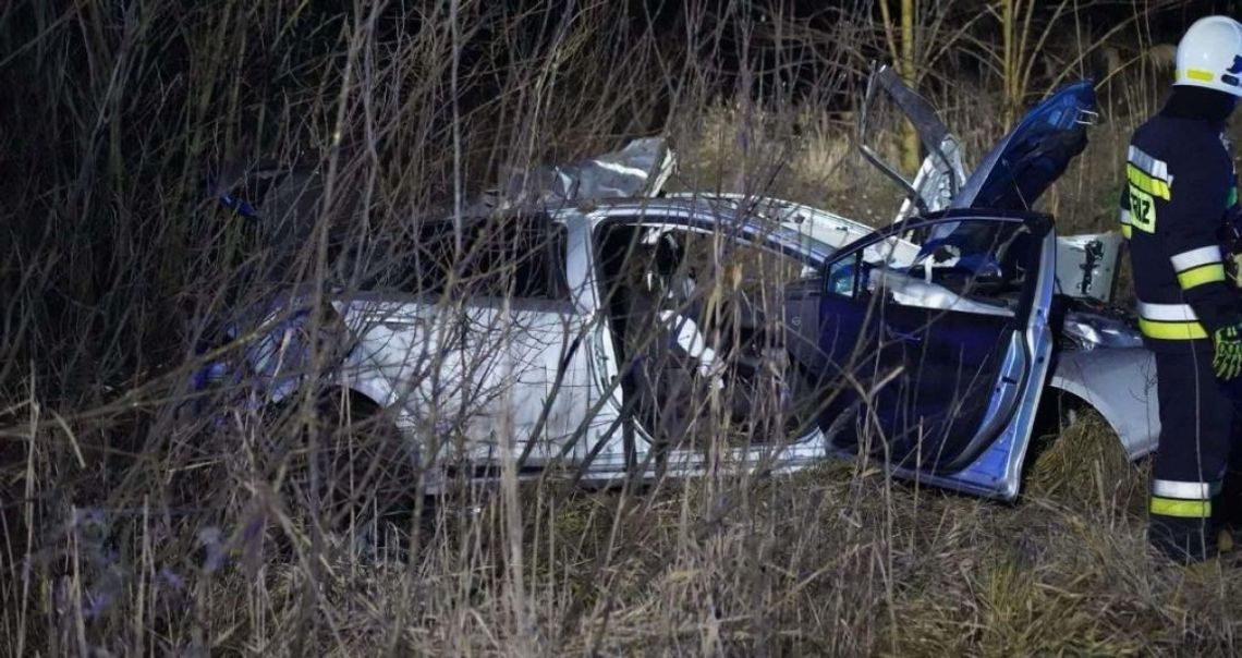 Zderzenie ze zwierzyną na krajówce! Ranny Komendant Policji