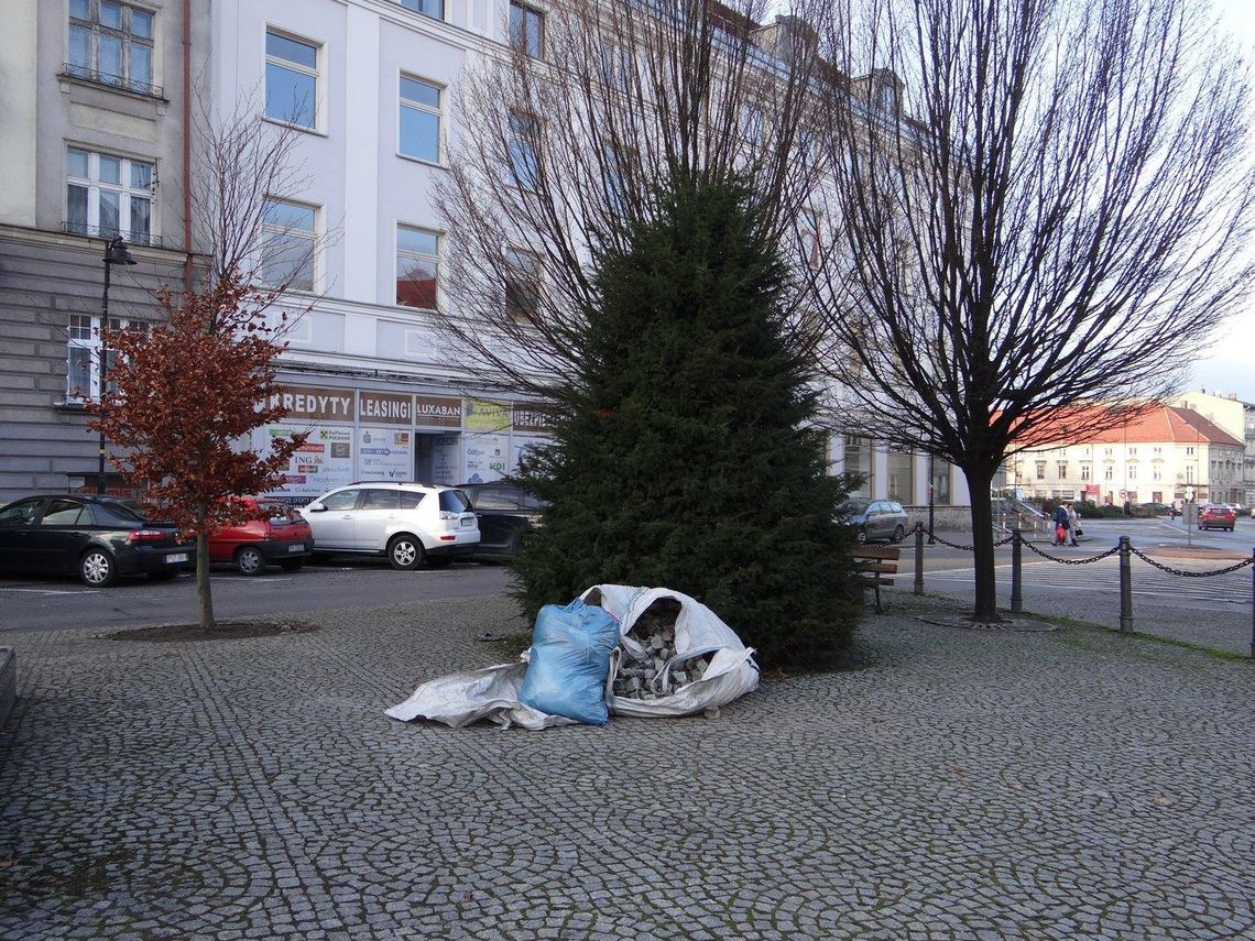 Zieleń wraca na plac św. Józefa. Czy to tak miało wyglądać? ZDJĘCIA