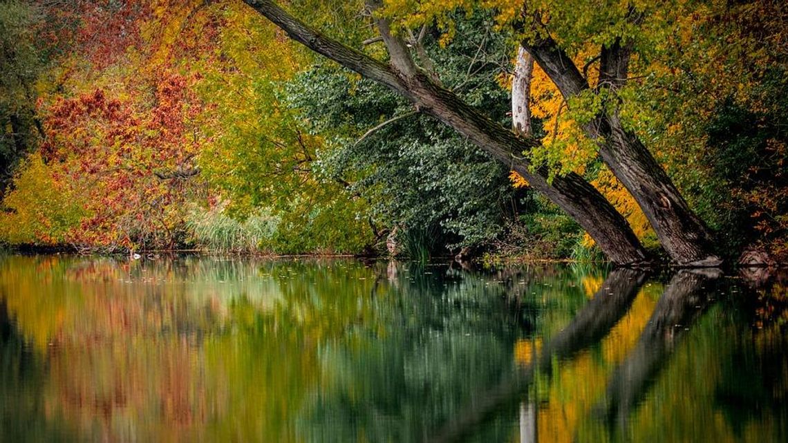 Zimno, ale słonecznie. Sprawdź pogodę na weekend