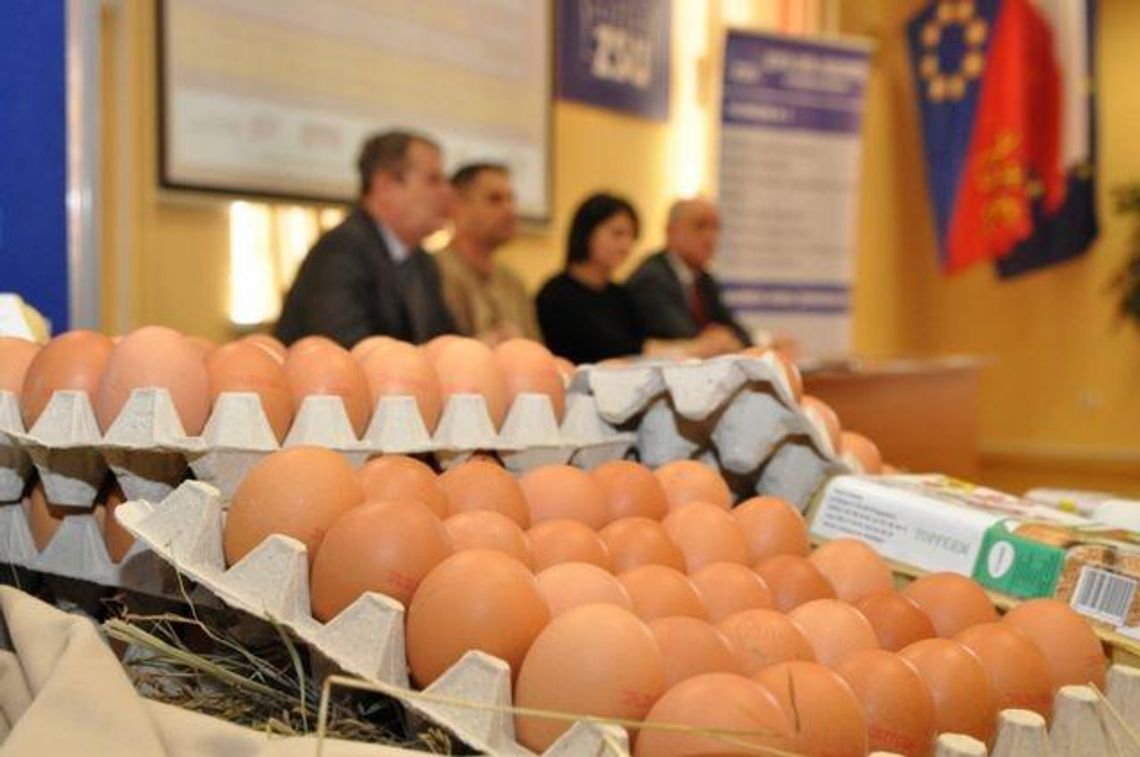 Zjedzą 5 tysięcy jajek. Ostrowski Festiwal Smaku w najbliższą sobotę