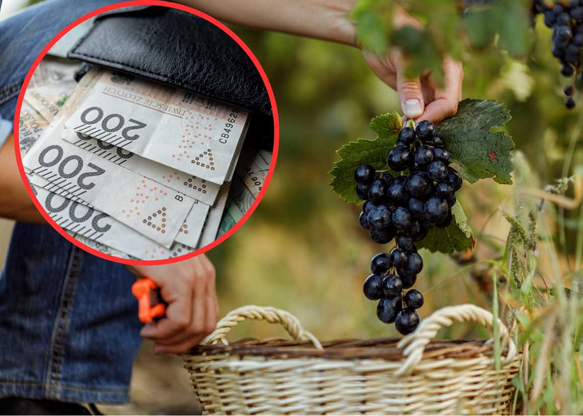 Zmowa cenowa w wielkopolskich firmach? Groźba ogromnych kar Zmowa cenowa w wielkopolskich firmach? Groźba ogromnych kar