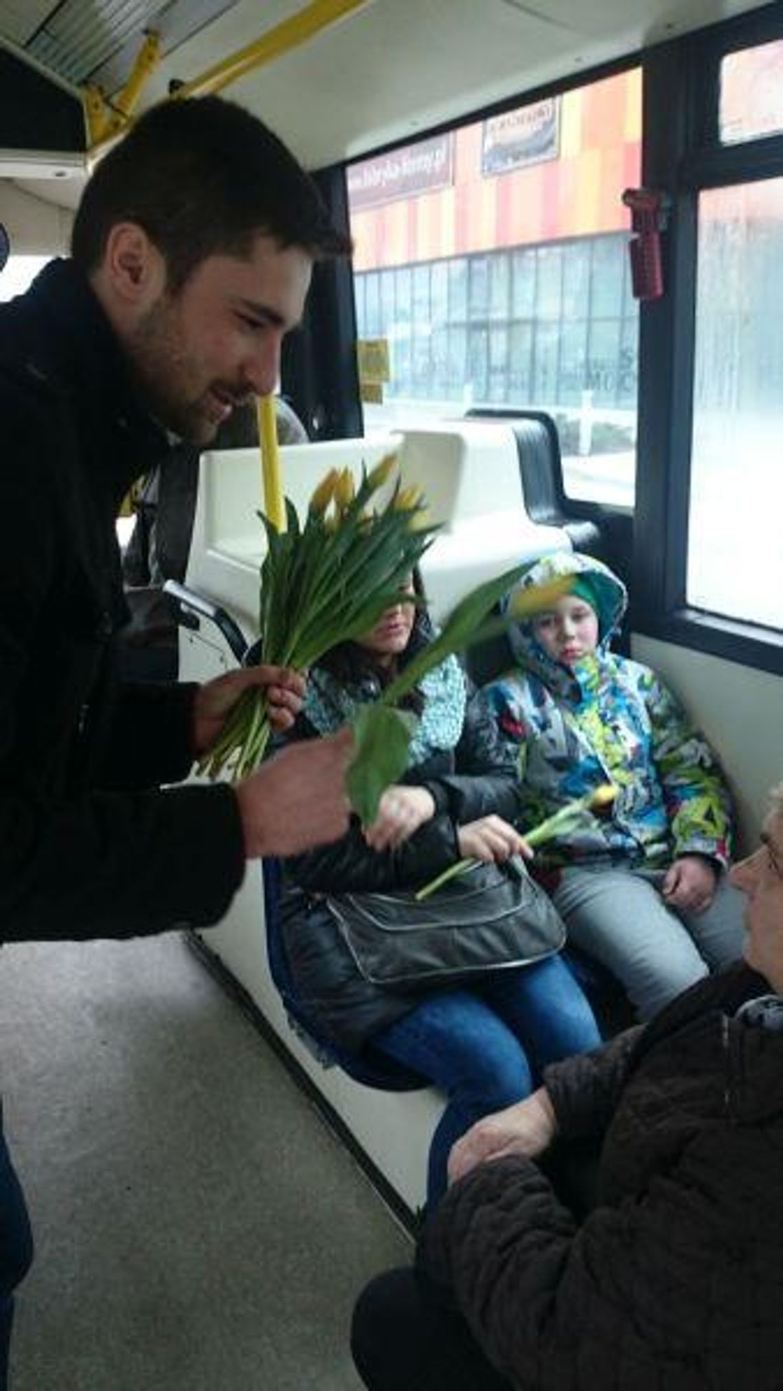 Żółty tulipan od KLA ZDJĘCIA