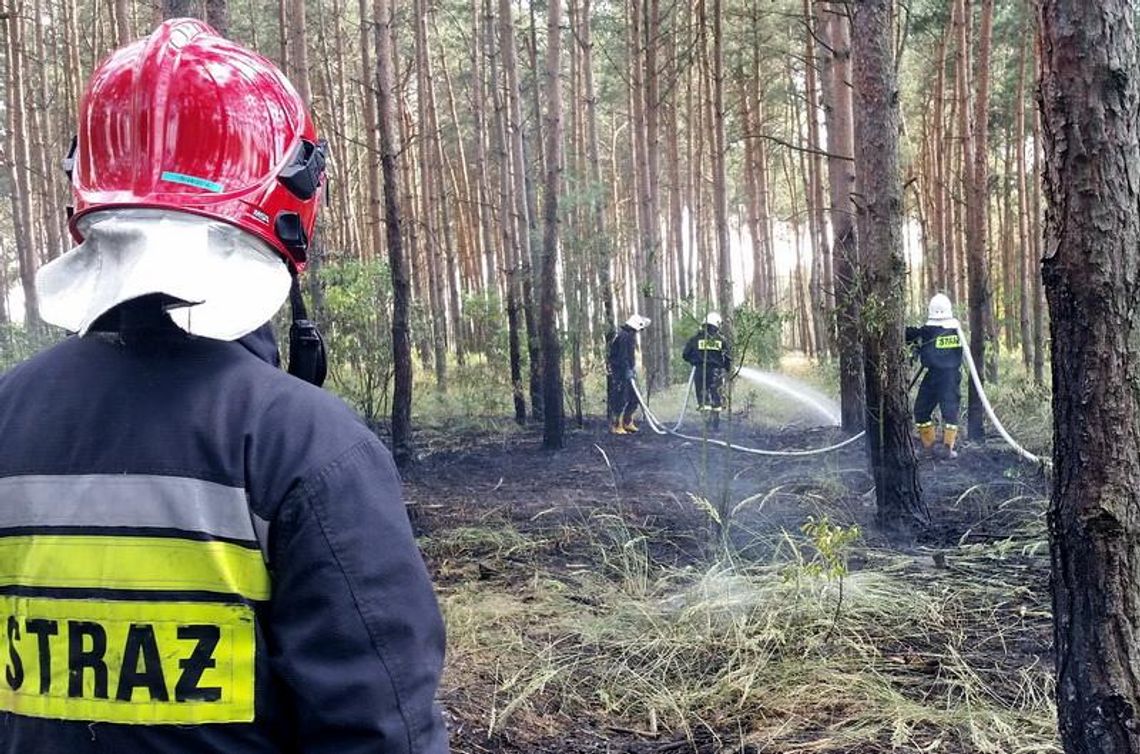 Zostawiał w lesie zapaloną świeczkę i uciekał. Trzy razy podpalił las