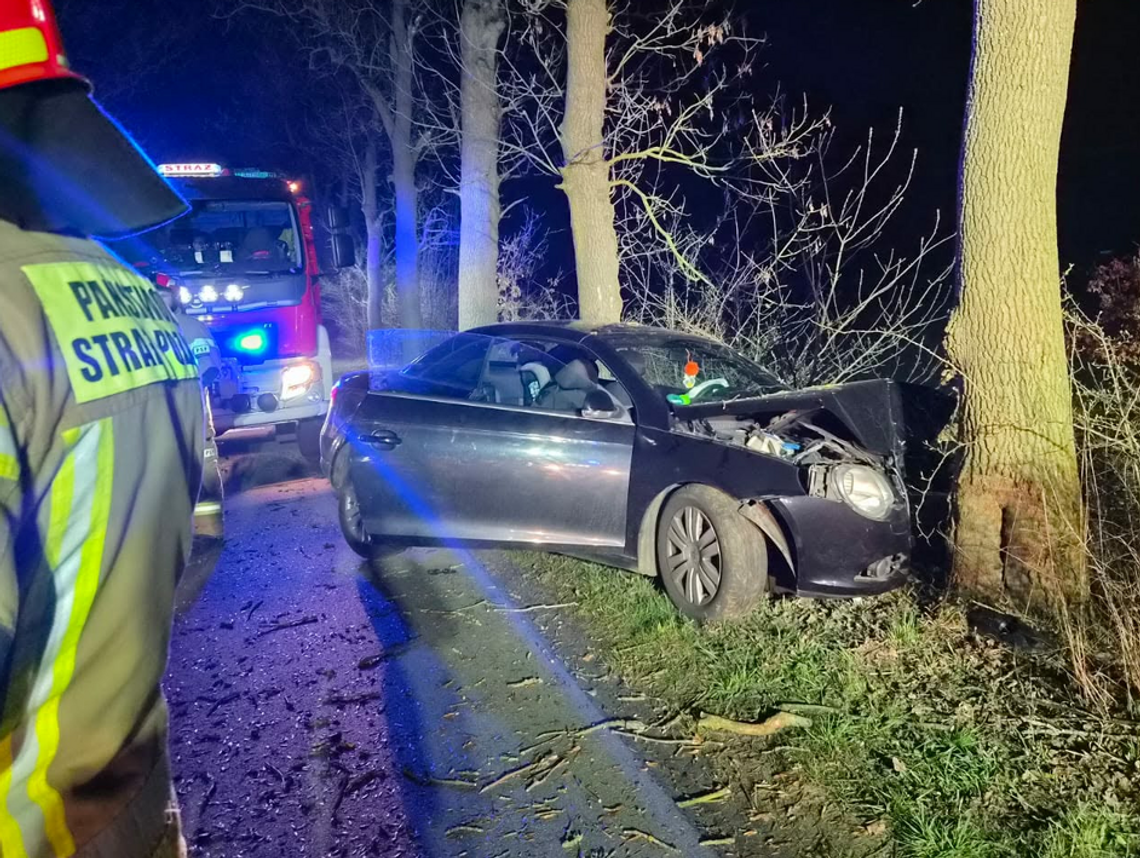 Zwierzę na drodze. Kierowca wjechał w drzewo Zwierzę na drodze. Kierowca wjechał w drzewo