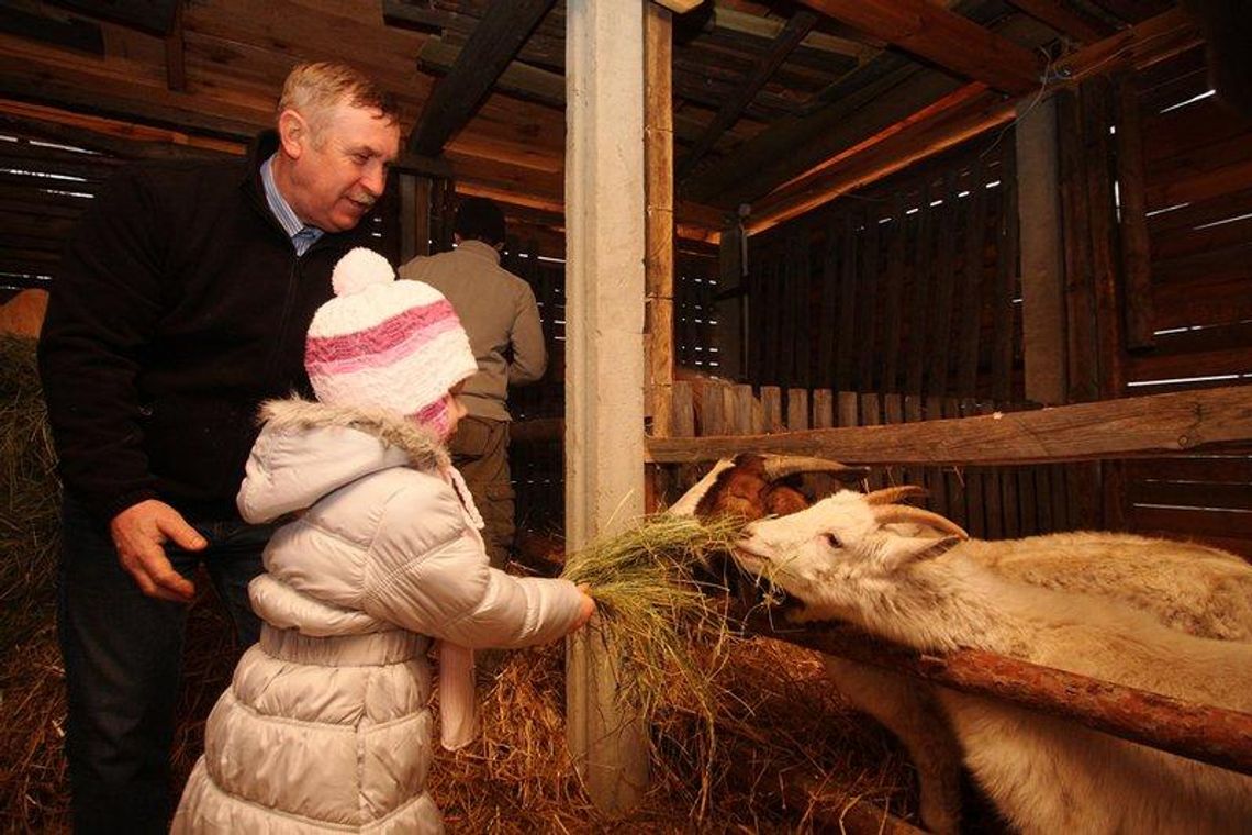 Żywa szopka przy Sanktuarium św. Józefa