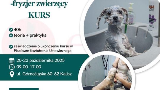 Fryzjer zwierzęcy GROOMER- 40h kurs od podstaw