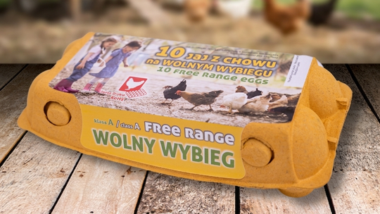 Jaja z wolnego wybiegu Kalisz – świeże prosto od producenta