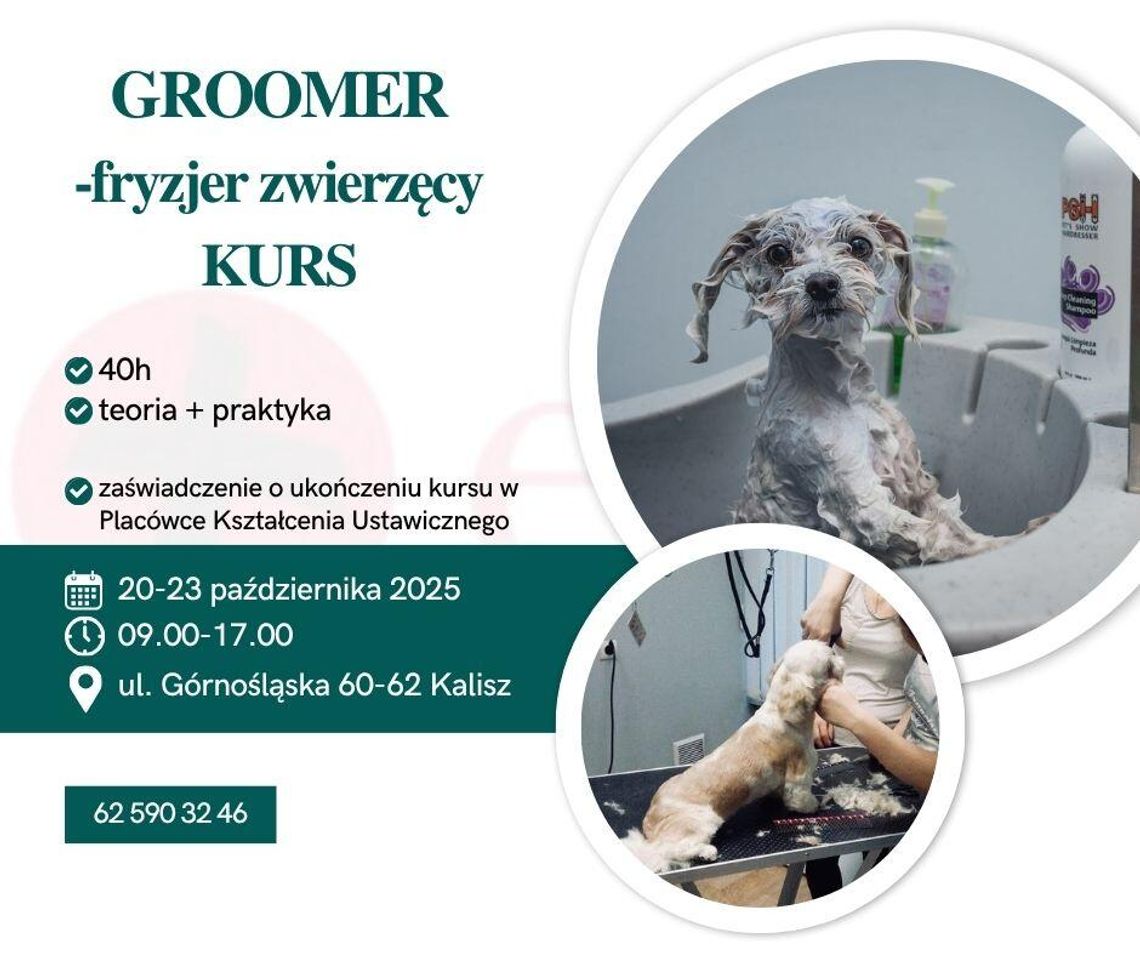 Fryzjer zwierzęcy GROOMER- 40h kurs od podstaw