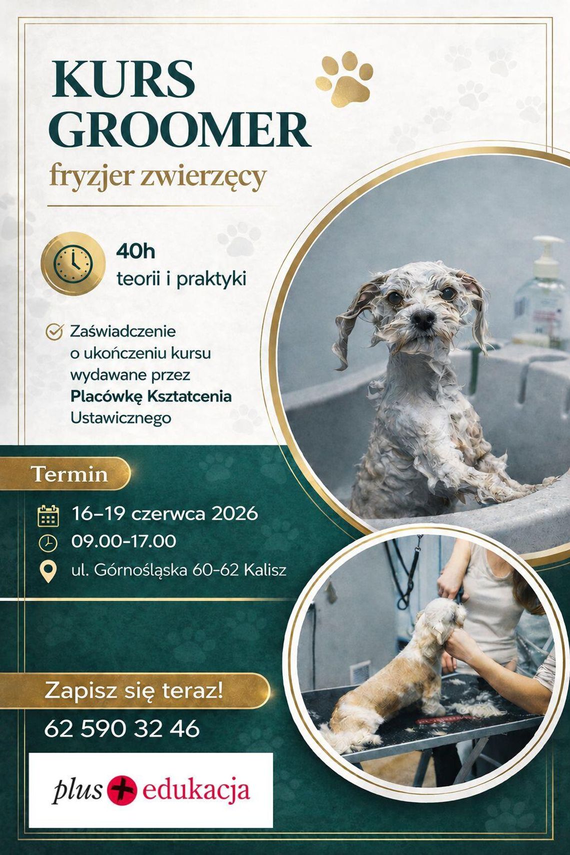 Kurs Groomer 40h