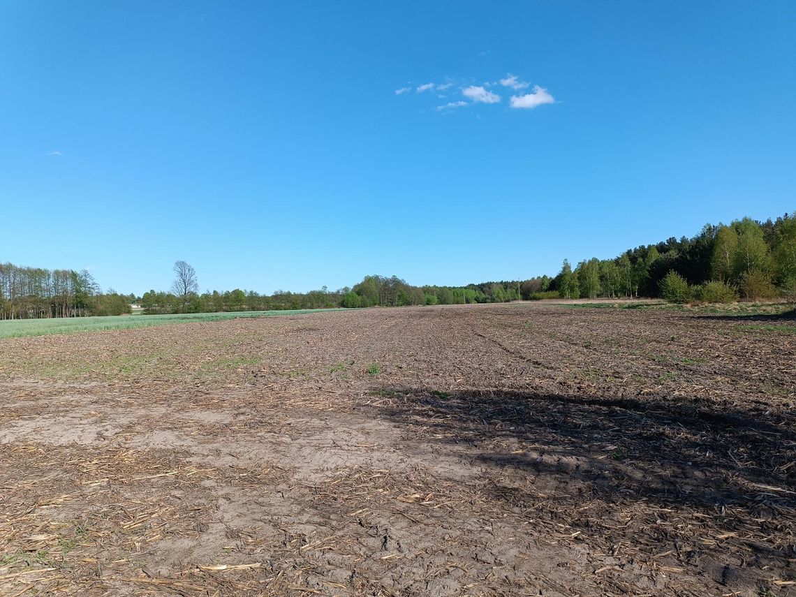 Sprzedam działki budowlane Sprzedam działki budowlane